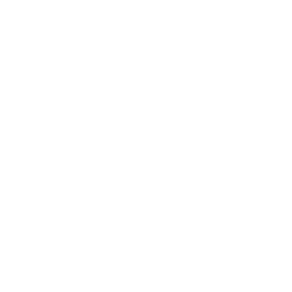 BitcoinZ Cryptocurrency icon
