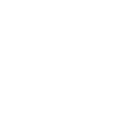 Bitcore Cryptocurrency icon