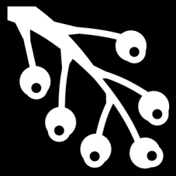 blackcurrant icon