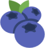 blueberries emoji