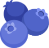 blueberries emoji