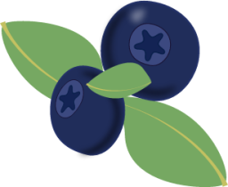 blueberries icon