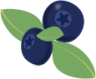 blueberries icon
