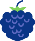 blueberry 2 icon