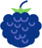 blueberry 2 icon