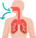 body breathe human medical illustration