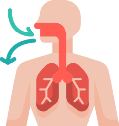 body breathe human medical illustration
