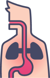 body disease health human internal medical organ illustration
