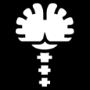 brain stem icon
