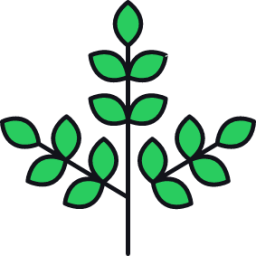 branch icon