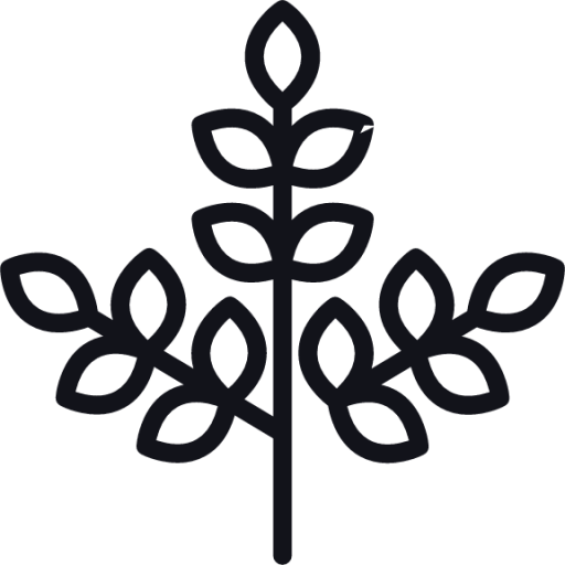 branch icon