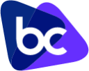 bridgecrew color icon