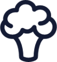 broccoli icon