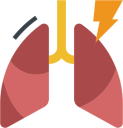 bronchitis inflamation influenza lung pneumonia illustration