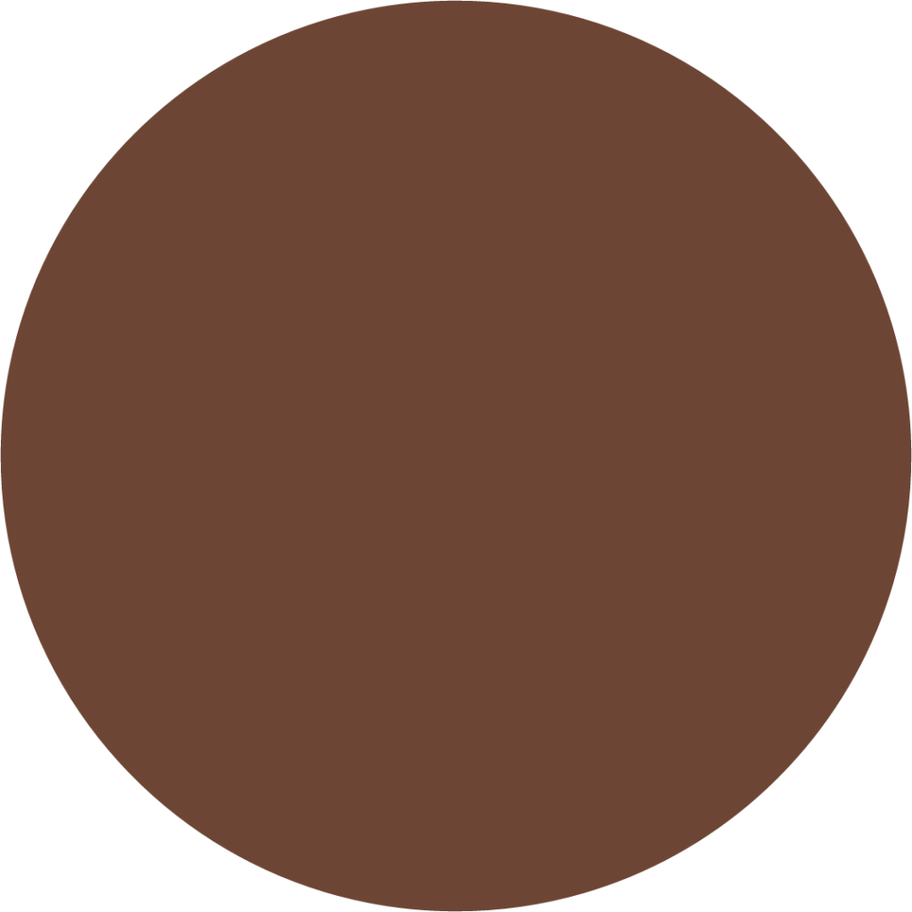 brown circle emoji