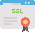 browser certificate ssl icon
