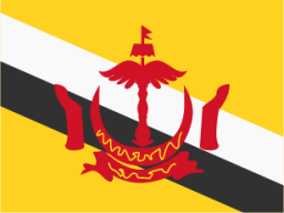 Brunei Darussalam icon