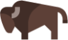 buffalo icon