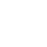 bug icon