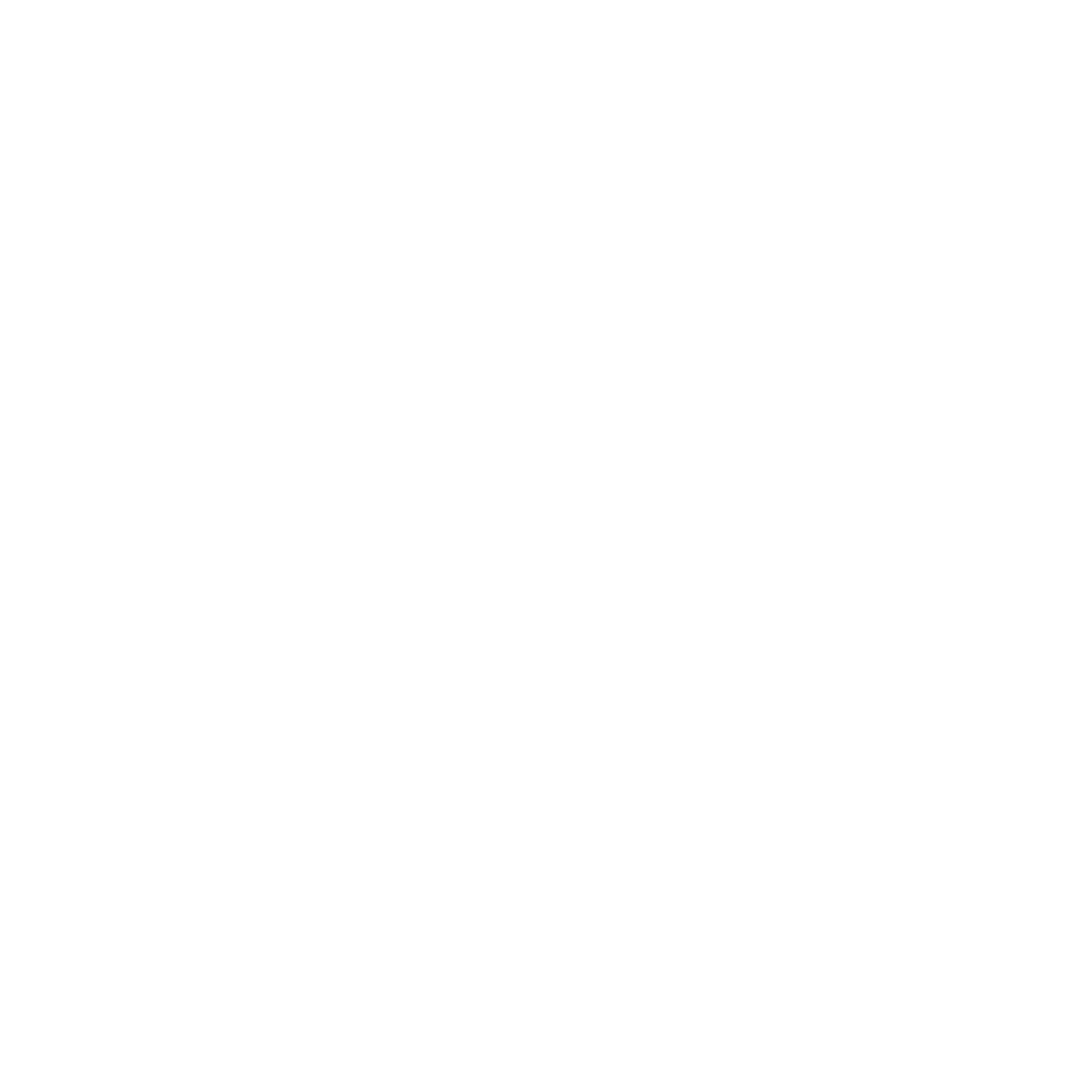 bug ladybug icon