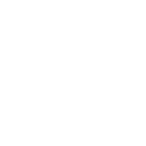 bug ladybug icon