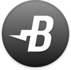 Burst Cryptocurrency icon