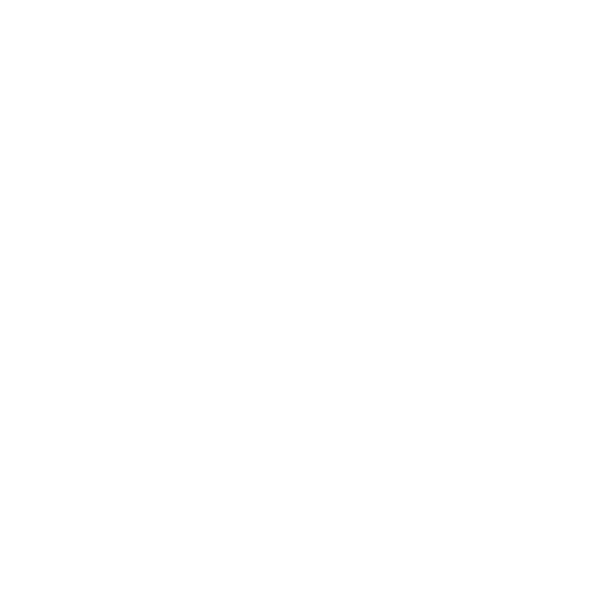 Burst Cryptocurrency icon