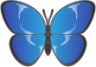 butterfly emoji