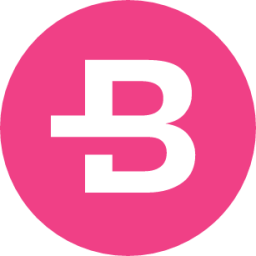 Bytecoin Cryptocurrency icon