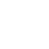Bytecoin Cryptocurrency icon