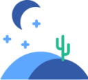 cactus desert night icon