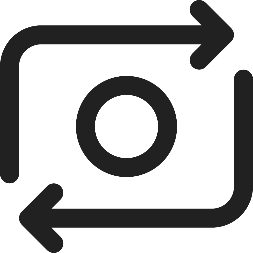 Camera Switch icon