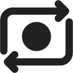 Camera Switch icon