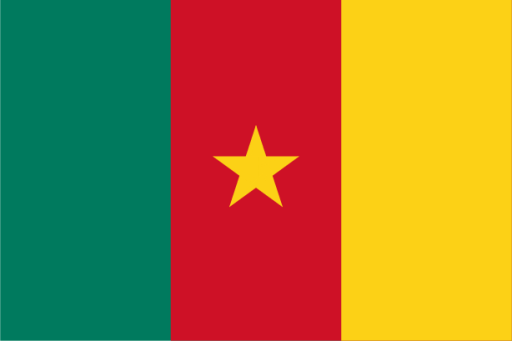 Cameroon icon