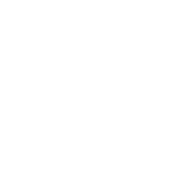 case email icon