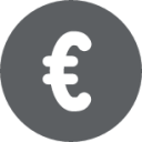 cash euro major icon