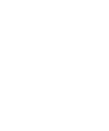 castle icon