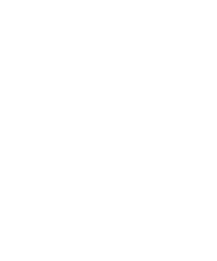 castle icon