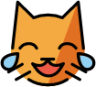 cat with tears of joy emoji
