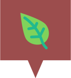 chat leaf icon