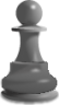 chess icon