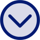 chevron circle down icon