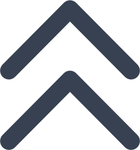 chevron double up icon