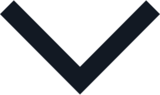 chevron down icon