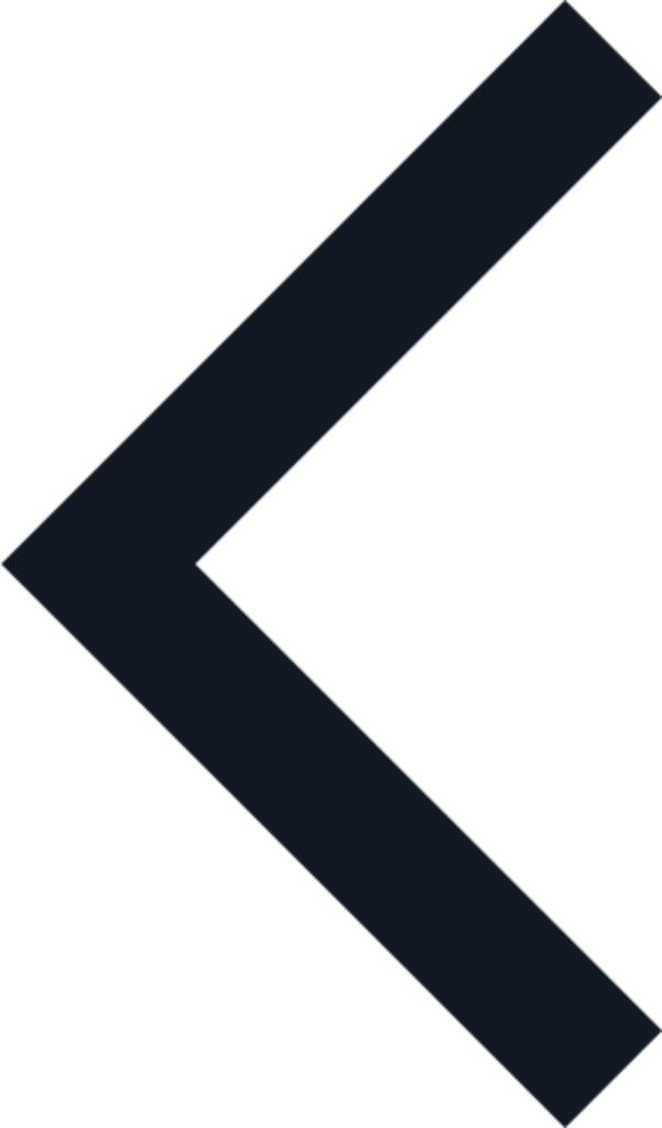 chevron left icon