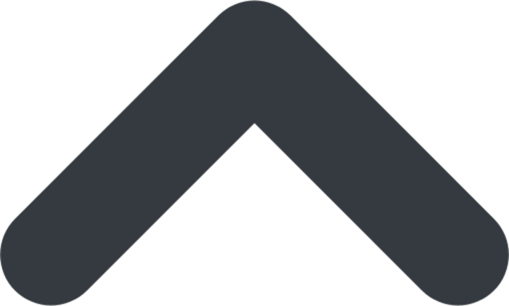 chevron up icon