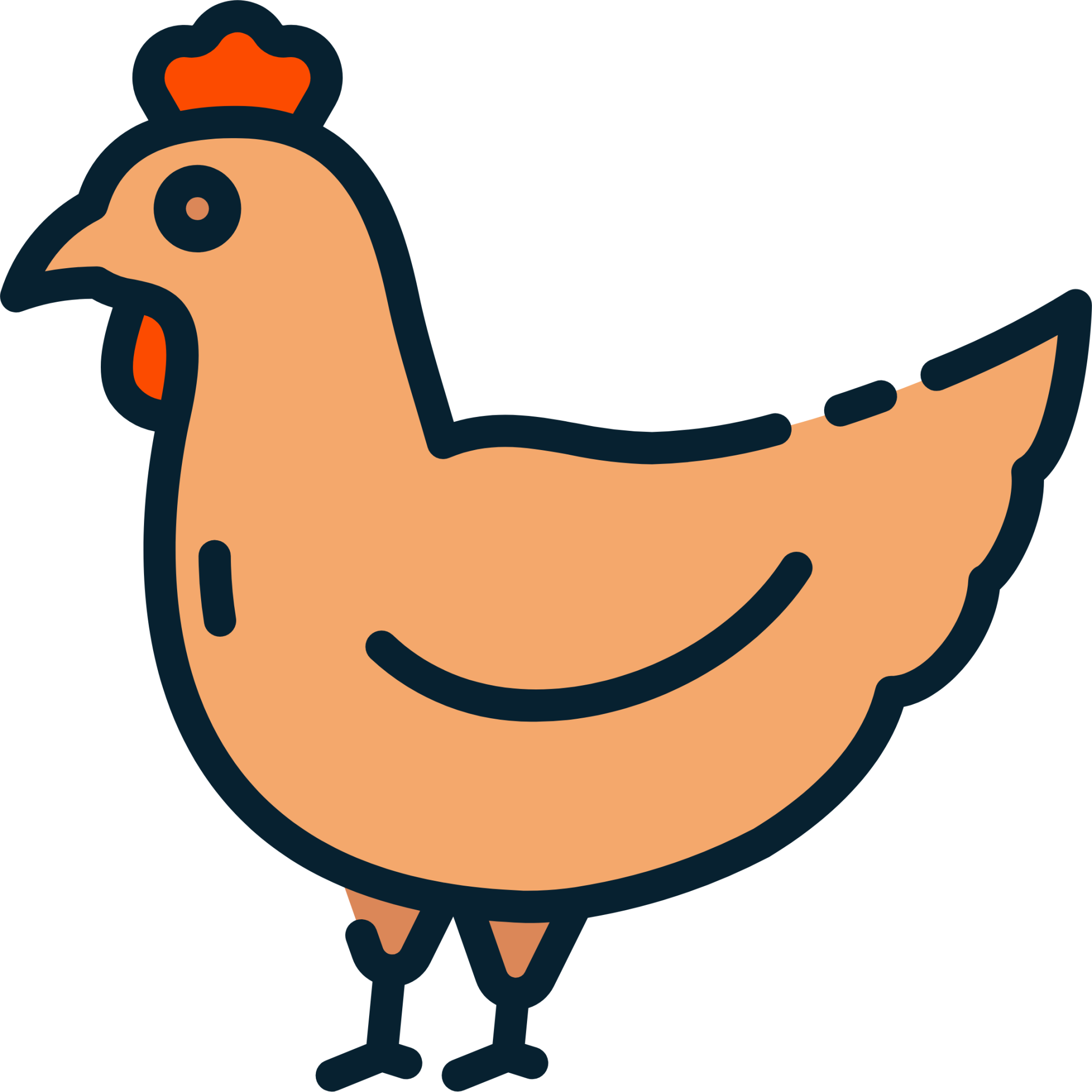 hen icon png