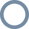 circle s icon