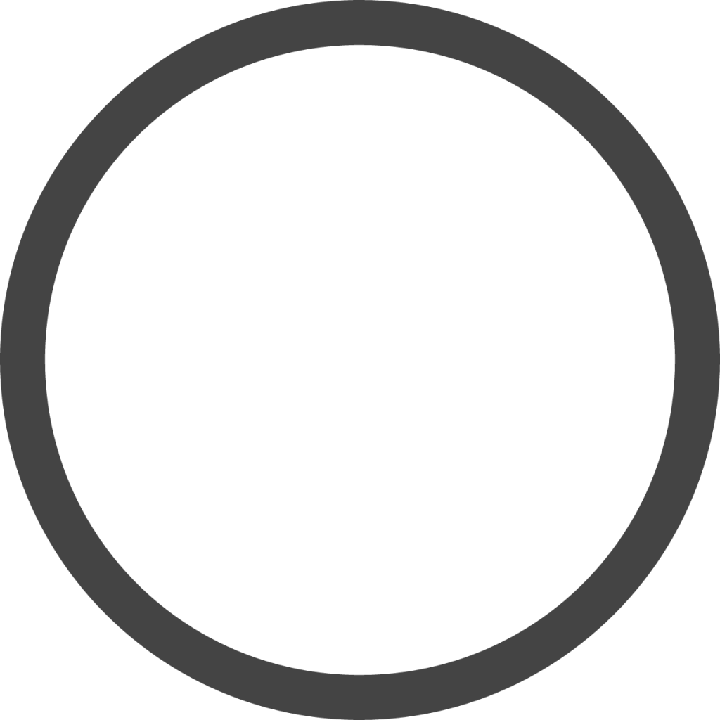 circle thin icon