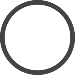 circle thin icon